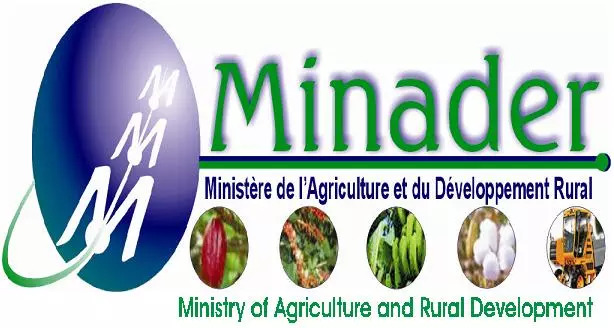 Logo Minader